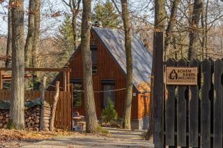 Bohém Kabin & Wellness - 0