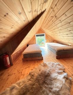 CC`s Green house - 7