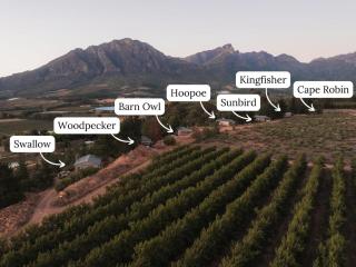 Cape Robin Cabin at Vrolikheid Landgoed - 2