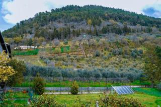 GUBBIO LIVING - By Angeloni - 6