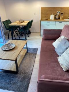 Świeradów Zdrój Źródlana 2 - 100 metrów od gondoli - 1