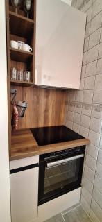 Fireplace apartment - Belgrado - 6