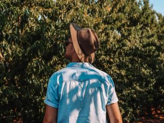 Cape Robin Cabin at Vrolikheid Landgoed - 3