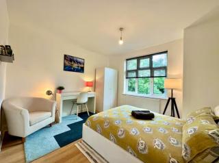 Modern Wembley flat near stadium and arena - 9