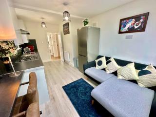 Modern Wembley flat near stadium and arena - 8