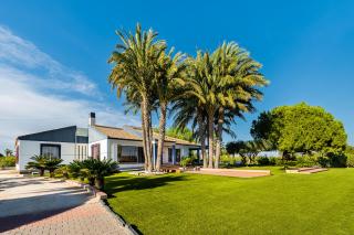El Bancalito-Finca con piscina para grupos y celebraciones privadas en Los Montesinos - 9