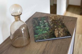 Maison Carola Sous Les Étoiles - 2