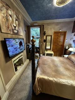 Enjoy An African Adventure In The Heart Of Swansea - Swansea - 9