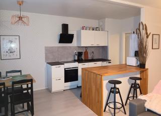 Homey Stay in Lapland - 8