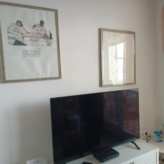 Vivalidays Andrea - Pineda de Mar - 1