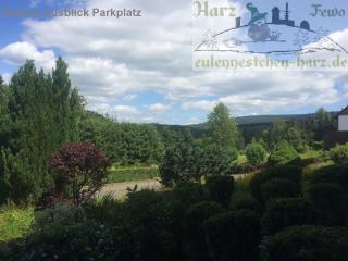 Fewo Eulennestchen-Harz S1 für Familie & Hund - 2