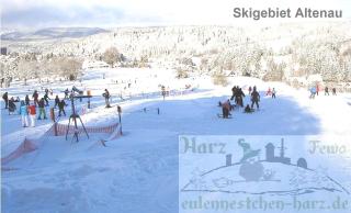 Fewo Eulennestchen-Harz S1 für Familie & Hund - 1