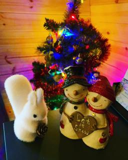 Loch Ness Woodland Pods - 8