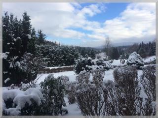 Fewo Eulennestchen-Harz L2 für Familie & Hund - Altenau - 1