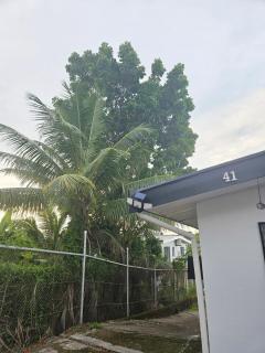 Beautiful 2 Bedroom Suite - 6