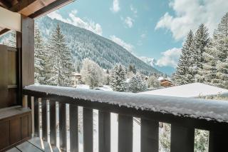 Résidence La Verte 23 ski in ski out - Happy Rentals - 3