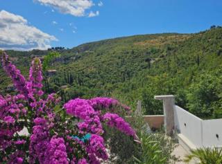 Villa Eden Dubrovnik - 8