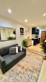 Modern flat near Hampstead with free parking - 2