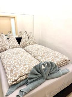 Central Vienna Apartment 140 m2 - 8