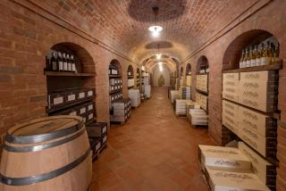 Agrisuite Le Querce del Vareglio - 4