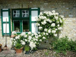 Cottage Malpertus in de Moervos in Damme - Brujas - 2