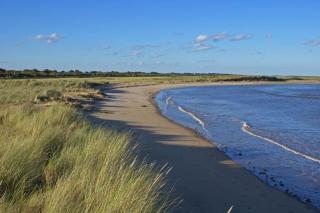Dog-friendly 2-bed Bungalow by the beach in Trusthorpe, Lincs - 9
