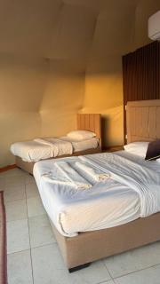 Malak rum camp - Wadi Rum - 5