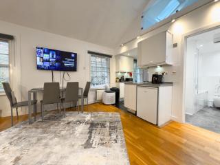 Covent Garden Penthouse 2B - 8