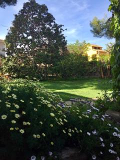 Casa de pueblo con jardín - 2