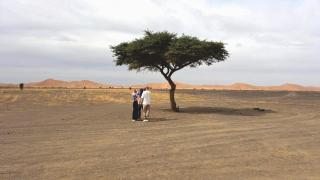 Desert Camel Trek - 5