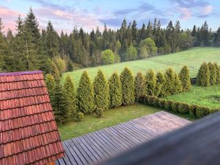 Лісовий Затишок - Tukholʼka - 4