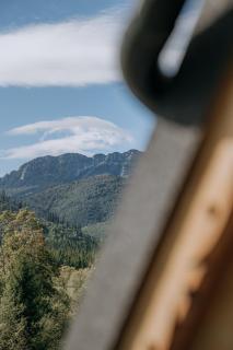 WHY NOT Myśliwska Exclusive Residence z basenem - 8