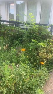 Köpenick spree 1 bed room house - 4