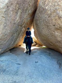 Western-Style Bunkhouse with Scenic, Desert Trails near Scottsdale, Arizona - 2