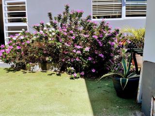 White Pearl at Strand - 7