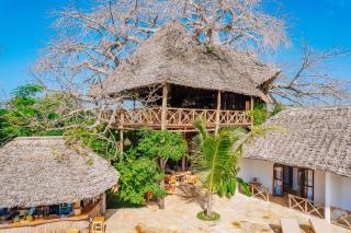 baobab Africa zanzibar - Mtende - 6