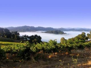 Vacation Rental with Spa and Pool on Winery near Healdsburg, California - Ingram - 5