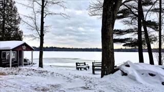 Cozy Lakeside Cabin in Manistee National Forest, Michigan - 8
