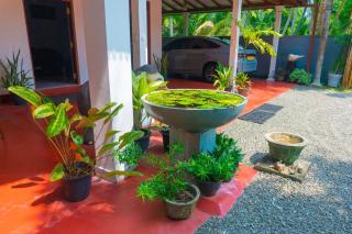Shasha House Bentota - 2
