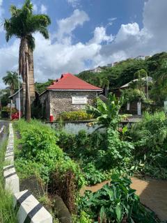 Dominica Seaside Beaches & Attractions Tour - 8