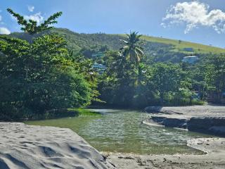 Dominica Seaside Beaches & Attractions Tour - 4