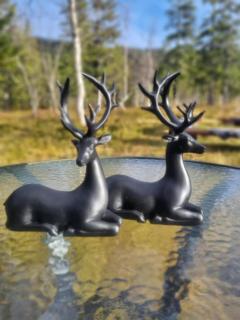 Ramstadbu -Lake Cabin near Trondheim, 4 Bedrooms - 1