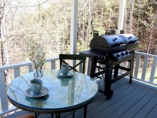 Beautiful Secluded Cottage in the Woods near the Red River Gorge in Kentucky - 5