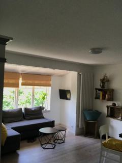 Gemütliche grosse 2 Zimmer Wohnung mit grosser Terasse in Seenähe, Höristrasse 8 in 78343 Gaienhofen - 1