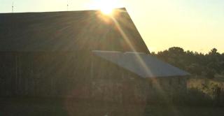 Historic Vacation Rental on Acres of Farmland near Aloha State Park, Michigan - 1