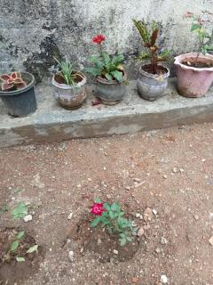 Ashabhavan - Varkala - 2