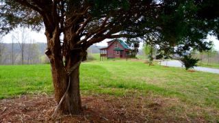 Rustic Log Cabin For a Group Getaway near Lake Cumberland in Kentucky -  - 2