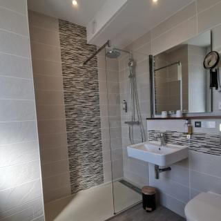 Logis Hotel Le Cerf - 1