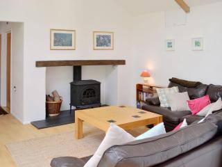 Swallow Barn-Ow2 - 1