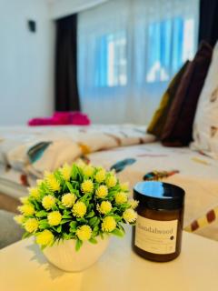 White Shell Sarajevo - Cozy & Stylish Apartment in Old Town - 9